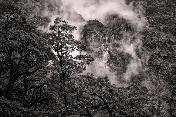 2026 February, Fiordland National Park, Southern Alps, New Zealand