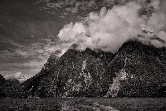 2026 February, Milford Sound, Fiordland National Park, New Zealand