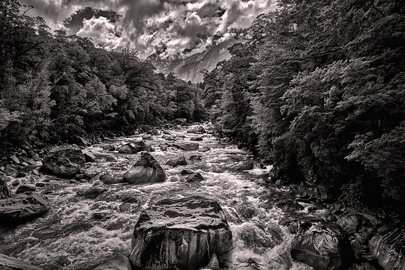 2026 February, Fiordland National Park, Southern Alps, New Zealand