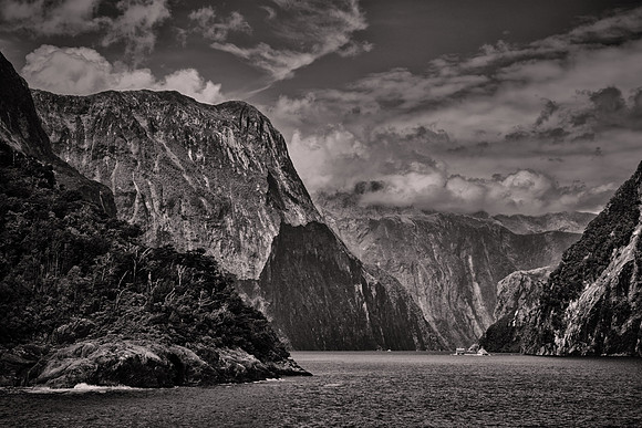 2026 February, Milford Sound, Fiordland National Park, New Zealand