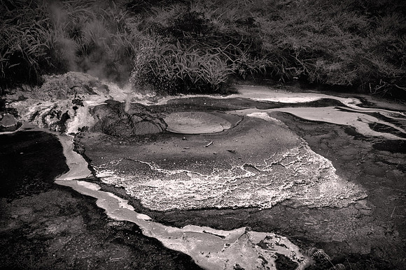 2026 February, silica deposits, Waimangu Volcanic Valley, Rotorua, New Zealand