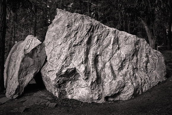 2026 February, glacial erratic, Queenstown Gardens, New Zealand