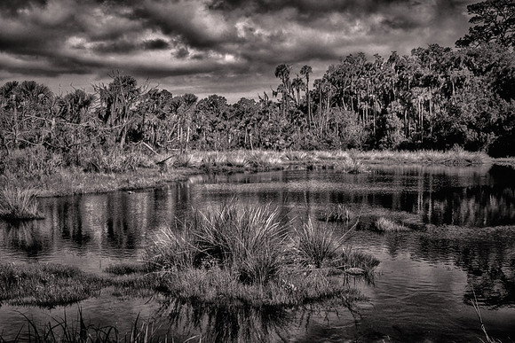 2026 March, backroads of Volusia County, Florida