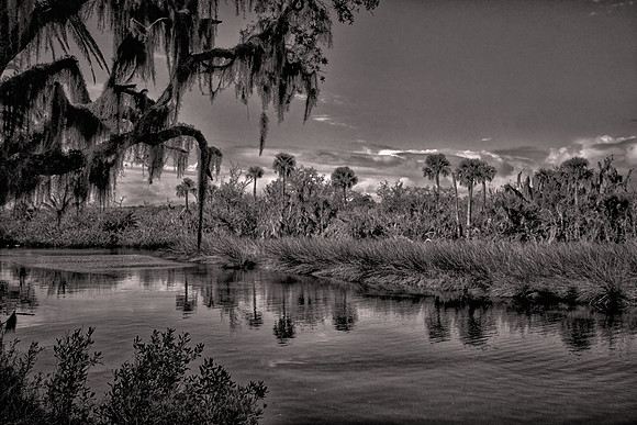 2026 March, backroads of Volusia County, Florida
