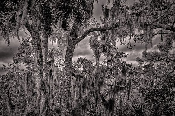 2026 March, backroads of Volusia County, Florida