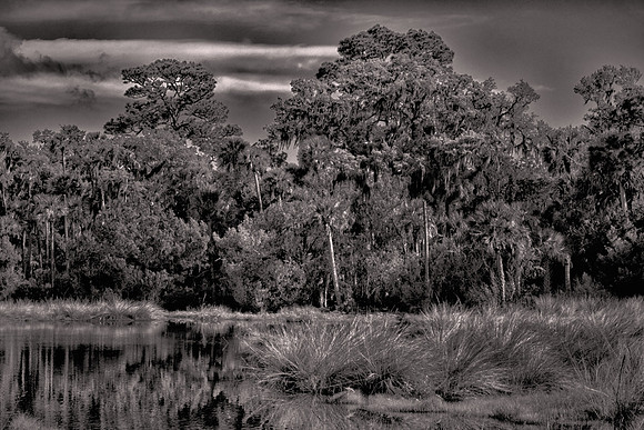 2026 March, backroads of Volusia County, Florida