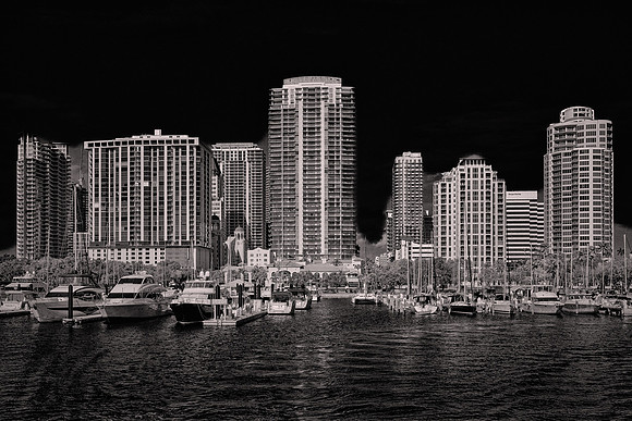 2026 March, St. Petersburg, Florida