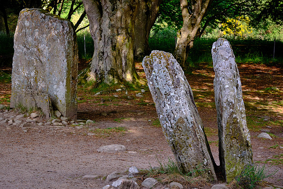 The tallest standing stones fringe the entrance (oriented south west) and the shortest are directly opposite it.