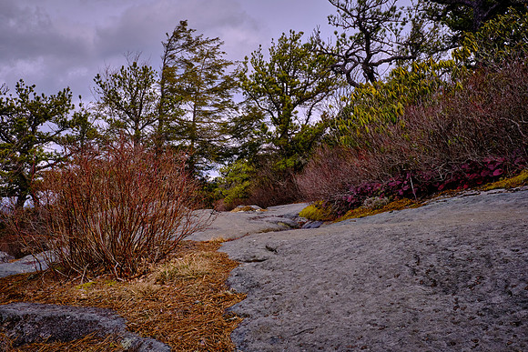 Flat Rock Overlook, Blue Ridge Mountains, NC