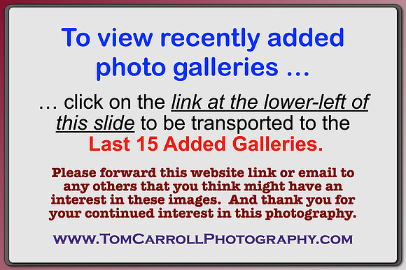 CLICK ON LINK AT LEFT