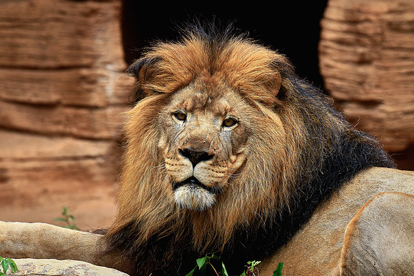 Columbia, SC - Riverside Zoo