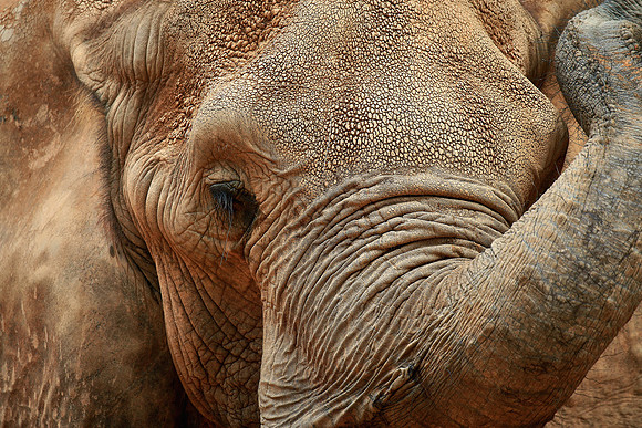 Columbia, SC - Riverside Zoo