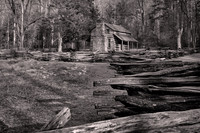 2023 Feb - Smoky Mountains in Winter in B&W