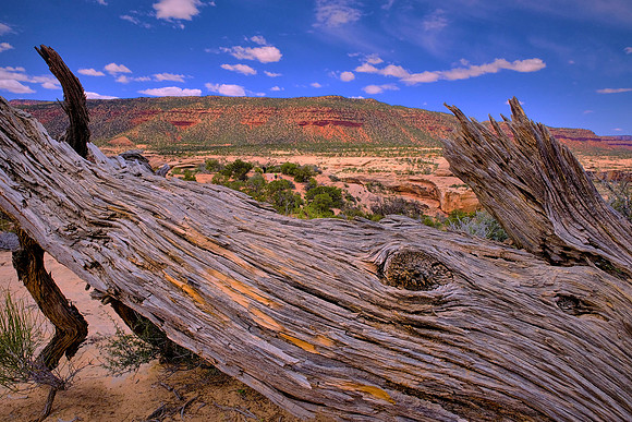 Natural Bridges, UT.  Humans have lived in the area since 7500 BCE.  Around 700 CE ancestors of modern Puebloan people constructed stone and mortar buildings and granaries.