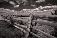 2026 June - Blue Ridge Parkway: Trees, Clouds, and Fences in B&W