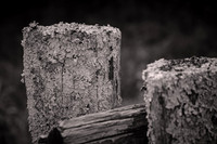 2026 June - Blue Ridge Parkway: Trees, Clouds, and Fences in B&W