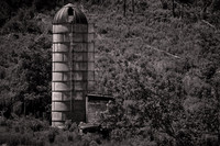 2026 June - Blue Ridge Parkway: Trees, Clouds, and Fences in B&W