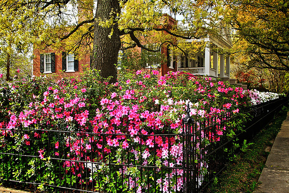 Natchez, Mississippi