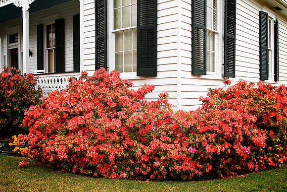 Natchez, Mississippi