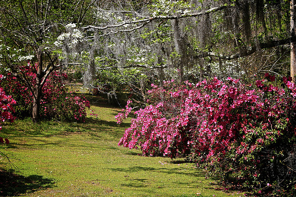 Natchez, Mississippi