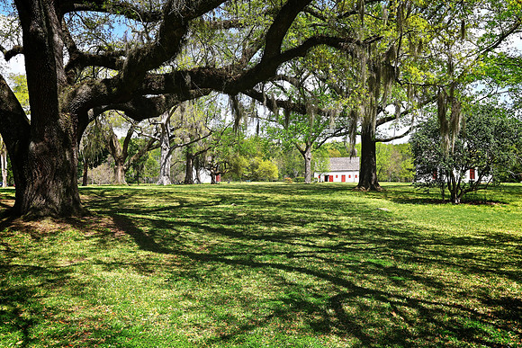 Melrose Plantation, Natchez (built 1845)