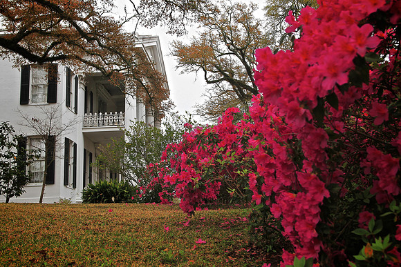 Stanton Hall, Natchez (built 1858)
