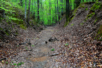 2013 March - Natchez Trace