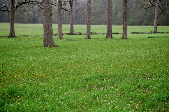 Mount Locust Inn, Natchez Trace (built 1780)