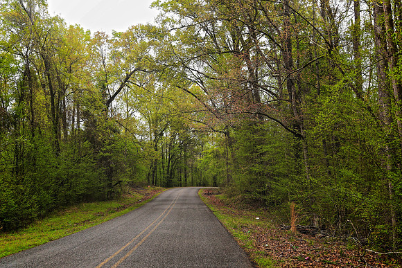 The Natchez Trace