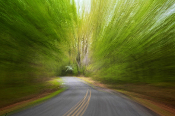 The Natchez Trace