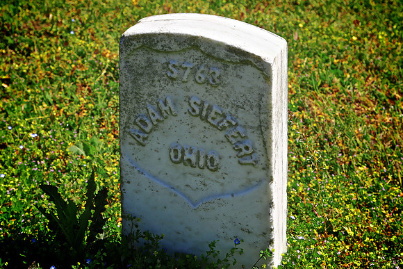 Vicksburg Battlefield (1863 May 18-July 4)