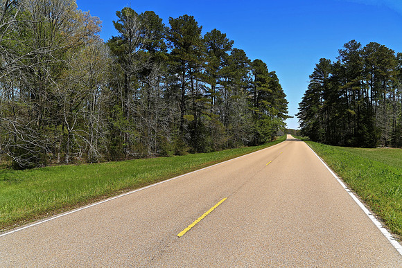 The Natchez Trace