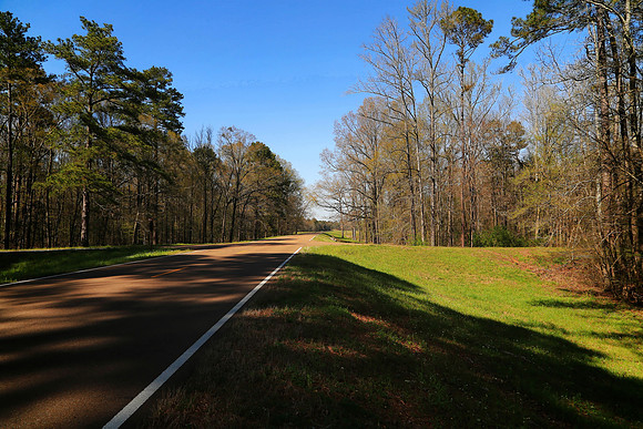 The Natchez Trace