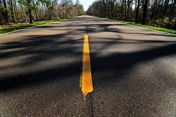 The Natchez Trace