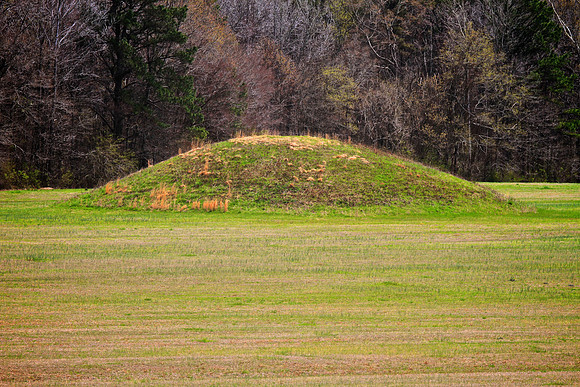 Mississipian Mound Builders Burial Sites, Natchez Trace  (built 0-200 AD)