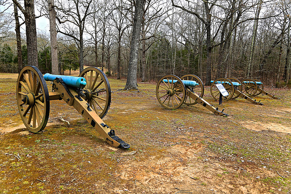 Shiloh Battlefield (1862 April 6-7: 24,000 dead)