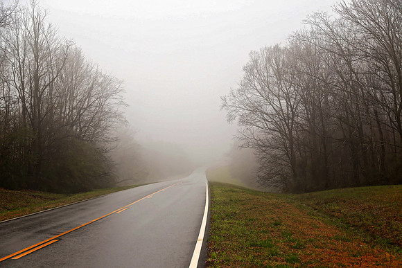 The Natchez Trace