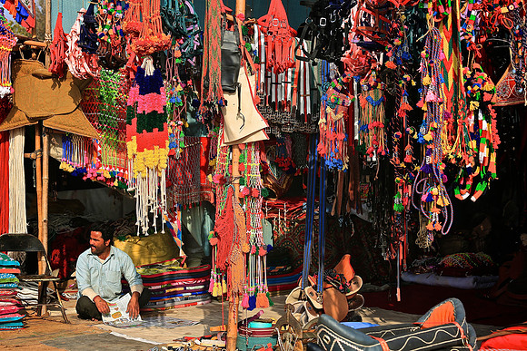 Nagaur Camel and Livestock Fair, Nagaur, Rajasthan
