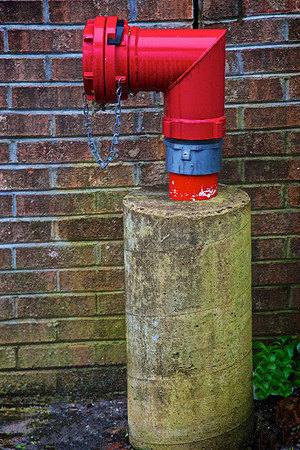Around Town, Wilmington, NC
