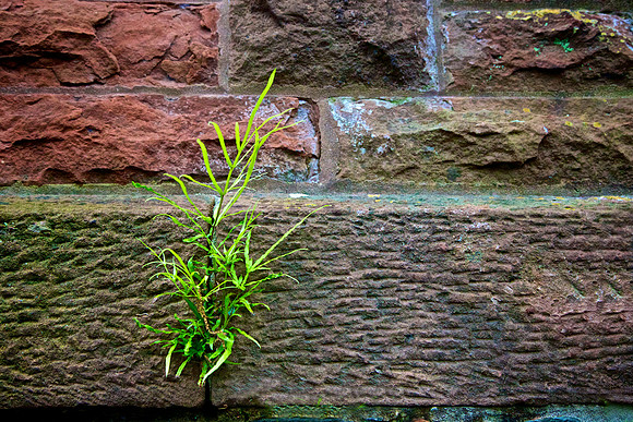 Around Town, Wilmington, NC