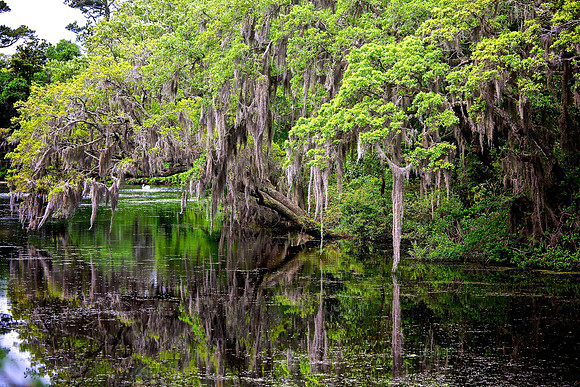 Airlie Gardens, Wilmington, NC