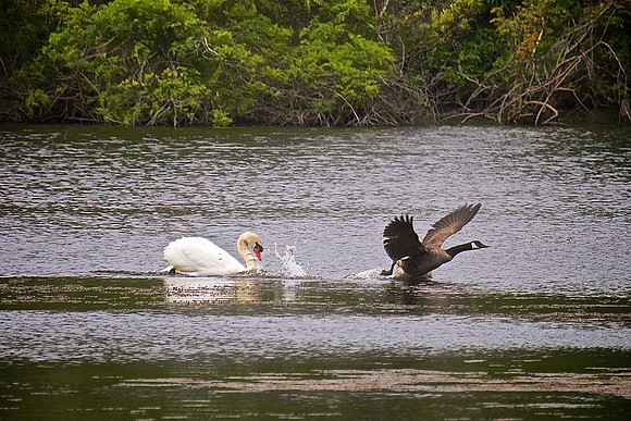 Airlie Gardens, Wilmington, NC
