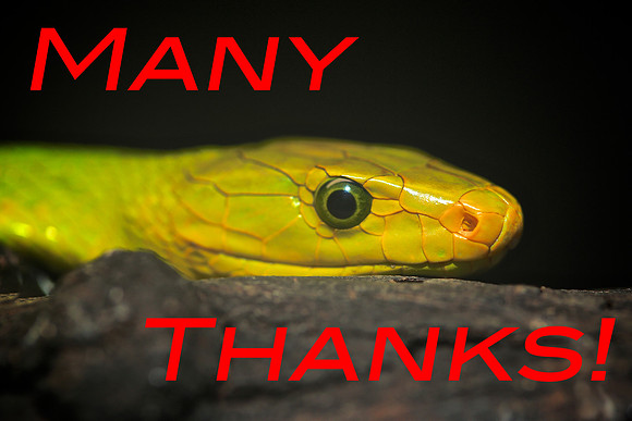 Cape Fear Serpentarium, Wilmington, NC