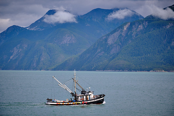 Commercial fishing is an important part of the economy and includes Salmon, Halibut, Sablefish, and Dungeness crab.