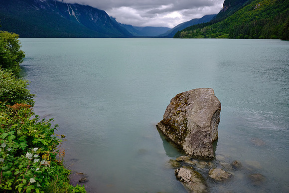 Pink, chum, sockeye, and coho salmon return seasonally and support brown bears, bald eagles, and harbor seals.