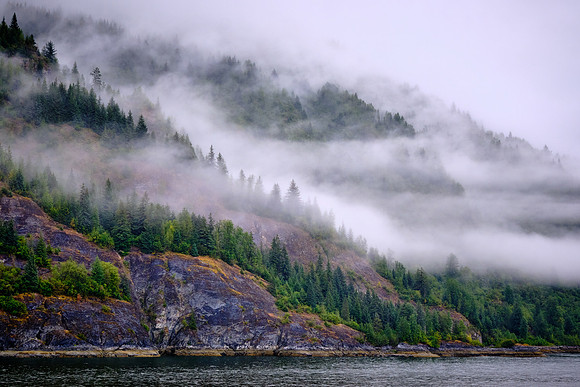 The forests are part of the Pacific coastal temperate rainforest.