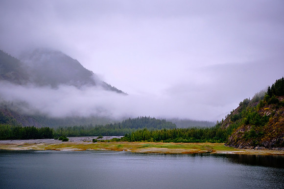 The forest composition changes with elevation, climate, soil age, and glacial retreat.