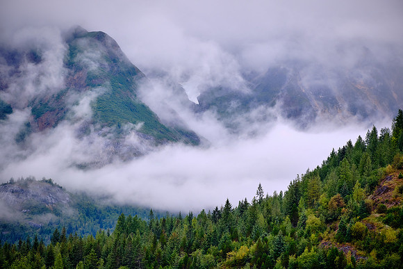On the road to Glacier Bay National Park.