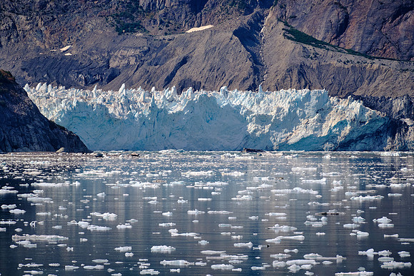 Glacier Bay National Park is over 5,100 square miles and is home to over 1,000 glaciers today.