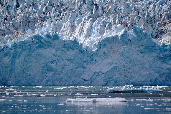 Before 1990, the glacier advanced into the bay at 30 feet per year. Today, that overall advance has stalled.